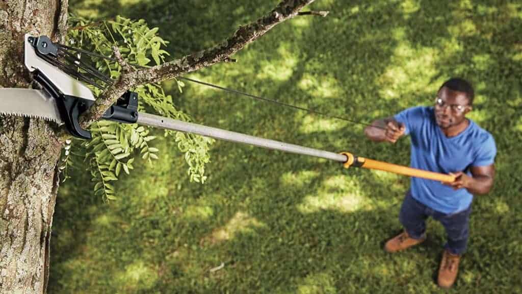 Best Saw Tool For Cutting High Tree Branches 2022(Tried&Tested)