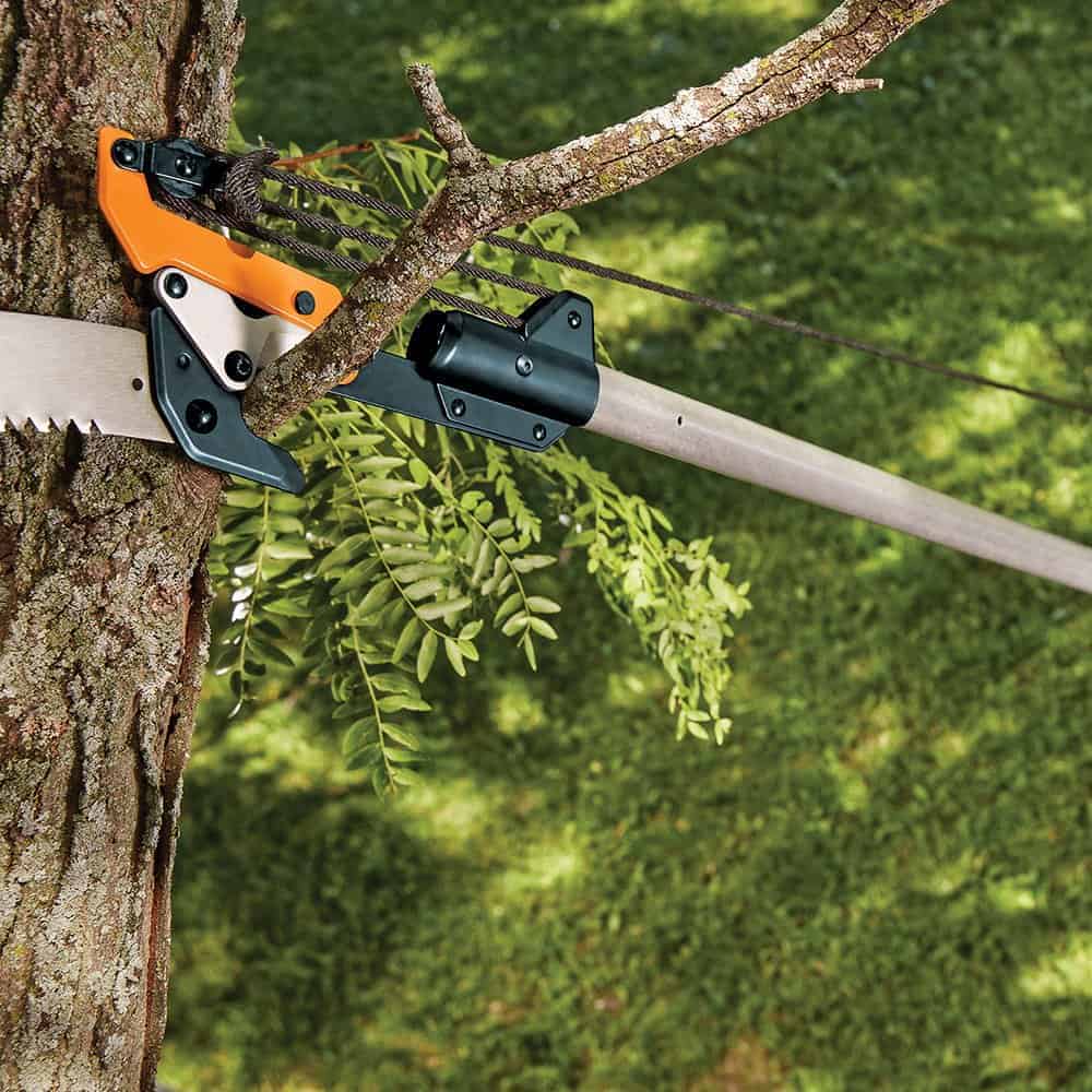 Best Saw Tool for Cutting High Tree Branches 2022(Tried&Tested)