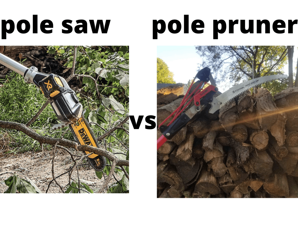 pole saw vs pole pruner